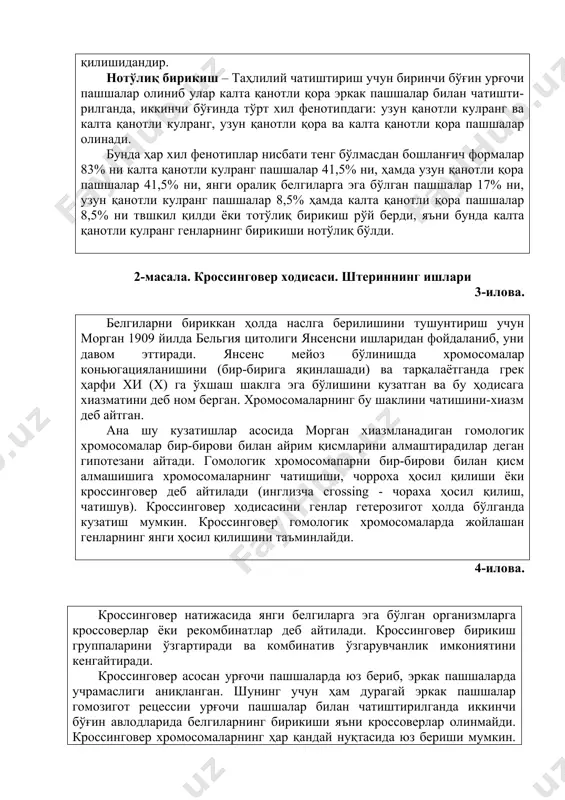 рилганда, иккинчи бўғинда тўрт хил фенотипдаги: узун қанотли кулранг ва калта қанотли кулранг, узун қанотли қора ва калта қанотли қора пашшалар олинади. бунда ҳар хил фенотиплар нисбати тенг бўлмасдан бошланғич формалар 83% ни калта қанотли кулранг пашшалар 41,5% ни, ҳамда узун қанотли қора пашшалар 41,5% ни, янги оралиқ белгиларга эга бўлган пашшалар 17% ни, узун қанотли кулранг пашшалар 8,5% ҳамда калта қанотли қора пашшалар 8,5% ни твшкил қилди ёки тотўлиқ бирикиш рўй берди, яъни бунда калта қанотли кулранг генларнинг бирикиши нотўлиқ бўлди. 2-масала. кроссинговер ходисаси. штериннинг ишлари 3-илова. белгиларни бириккан ҳолда наслга берилишини тушунтириш учун морган 1909 йилда бельгия цитолиги янсенсни ишларидан фойдаланиб, уни давом эттиради. янсенс мейоз бўлинишда хромосомалар коньюгацияланишини (бир-бирига яқинлашади) ва тарқалаётганда грек ҳарфи хи (x) га ўхшаш шаклга эга бўлишини кузатган ва бу ҳодисага хиазматини деб ном берган. хромосомаларнинг бу шаклини чатишини-хиазм деб айтган. ана шу кузатишлар асосида морган хиазмланадиган гомологик хромосомалар бир-бирови билан айрим қисмларини …
