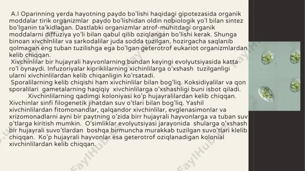 6acfbbf8-a36e-4418-a39f-a00b20f198b8 - Page 5