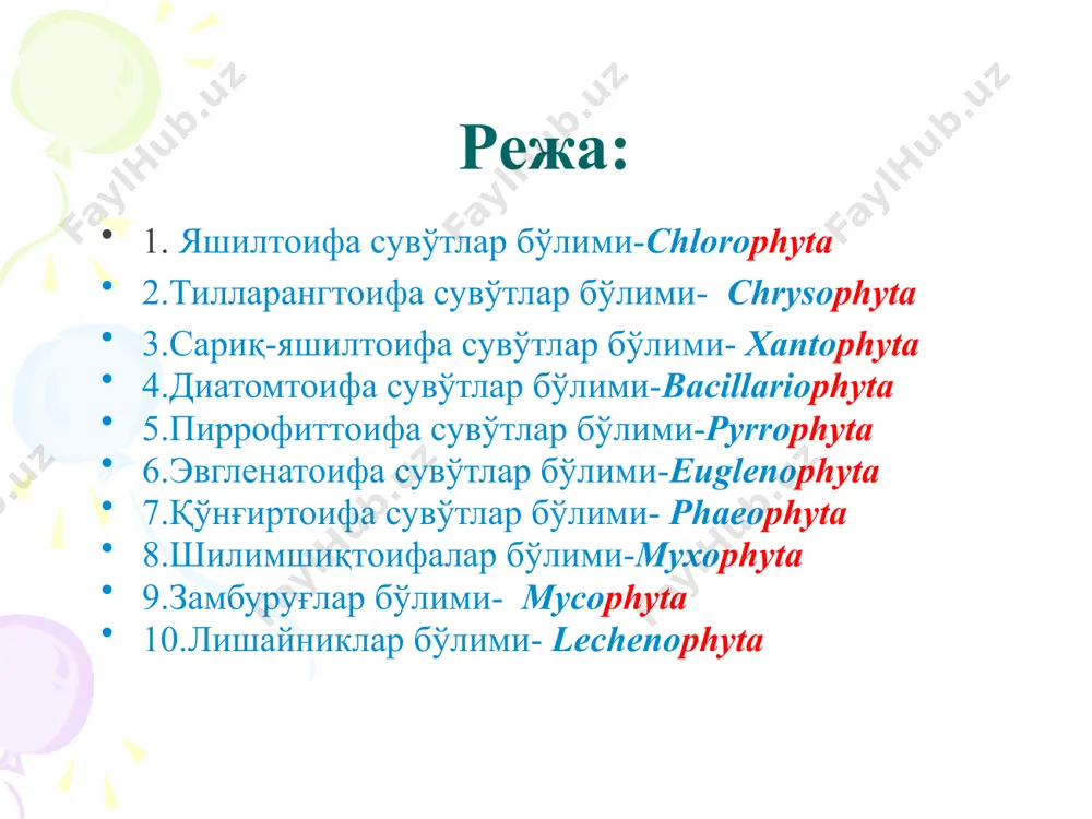 астида вакуолалар бўлмайди. протопластининг ташқи қатлами хромотоплазма, марказий қисми центроплазма дейилади. хроматоплазмада хлорофилл, фикоциан, каротин, фукоэритрин каби пигментлар бўлиб, ҳужайрага кўпроқ кўк-яшил ранг беради. центраплазма эса рангсиз бўлиб, унда ядро учун характерли бўлган днк, нуклеин кислоталар бўлади. хромотоплазма фотосинтез вазифасини ҳам бажаради, чунки унда сочилган ҳолда хромотофор учрайди. уларда крахмал, оқсил тўпланади. 2- бўлим. қизилтоифа (rhodophyta) сувўтлар қизил сувўтлар кўп ҳужайрали, ташқи кўринишидан юксак ўсимликларга ўхшаб кетади. талломлари бўғинларга бўлинган, ҳужайраси бир ядроли ва хроматофорлидир. хроматофорида хлорофилл, каротин, ксантофил, фикоциан пигментларидан ташқари қизил тусдаги фикоэритрин пигменти бўлганлиги сабабли, бу сувўт вакиллари қизил, пушти ва оч бинафша рангларда кўринади. ҳужайра пўсти пектин моддаси аралашган целлюлозадан иборат. пектин модда кўпинча ҳужайранинг бўкишига, танасининг доимо шилимшиқланишига олиб келади. ҳужайра протопласти цитоплазма, битта ёки бир нечта ядро ва хроматофорларга ажралган. хромотофори пластинкасимон шаклда бўлади. бўлим. яшилтоифа (chlorophycophyta) сувўтлар яшил сувўтларнинг хроматофорларида фақат хлорофилл бўлиб, бошқа пигментлар билан ниқобланмаганлиги учун яшил рангда кўринади. улар, бир …