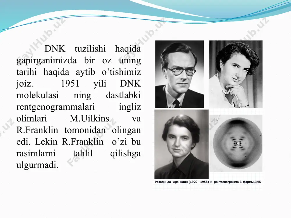 q protein zanjirlarini hosil qilish uchun belgilangan joylarda (qayta ishlangan) tanlab bo'linadi. 7 dnk xossalari va sekvensiyasi. dnk ning asosiy xarakteristikalari quyidagilardan iborat: 1) erish harorati amplifikatsiya (tarkibida gc juftlari ko'p bo'lgan dnk at juftlarida boyitilgan dnkga nisbatan yuqori haroratda denaturatsiyalanadi); 2) molekulyar og'irlik (bu parametr ma'lum o'lchamdagi dnk fragmentlari ishtirokida dnk bo'laklarini elektroforezda ajratish yo'li bilan aniqlanadi); 3) dnk ketma-ketligi bilan o'rnatiladigan nukleotidlar ketma-ketligi; 4) o'rganilayotgan dnkda kodlangan protein mahsuloti yoki funktsional elementi; 5) cheklash endonukleazlari bo'yicha ajralish joylarining o'zaro joylashishi (cheklash xaritasi). 8 molekulyar biologiyaning markaziy dogmasi dnk rnk protein transkripsiya translyatsiya teskari transkripsiya dnk replikatsiya $$$ molekular biotexnologiya xromatin nukleosomalar, ixchamlashishining birinchi darajasi. dnk ning qoʼsh spirali giston oqsillari kompleksini ikki bor aylanib joylashadi. matias bader (mathias bader) illyustratsiyasi azotli asoslar. nuklein kislotalarining azotli asoslari kimyoviy tuzilishiga ko’ra 2 guruhga - purin va pirimidin asoslariga botinadi. ularning orasida siyrak (minor) purin va pirimidinli asoslar mavjud. eng muhim …