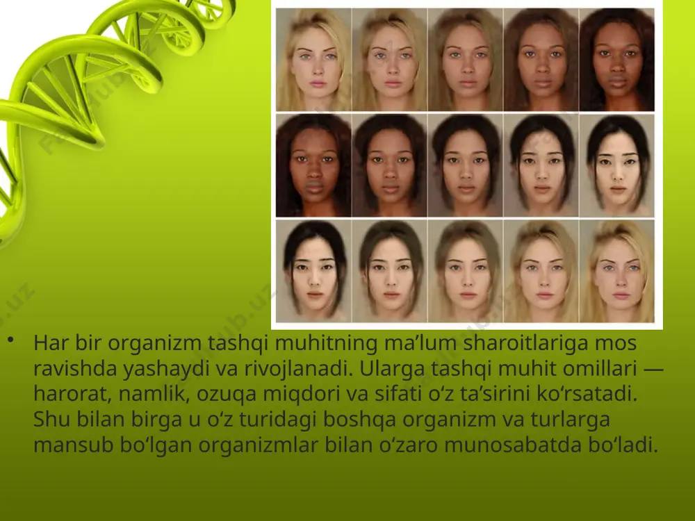 tashqi muhit sharoitlari ta’sirida belgilarning o‘zgarishlari chegarasiz emas. belgilarning xilma­xillik darajasi yoki o‘zgaruvchanlik chegaralari reaksiya normasi deb ataladi. reaksiya normasining kengligi genotip bilan aniqlanadi va organizm hayot faoliyatidagi belgilarining ahamiyatiga bog‘liq. reaksiya normasining torligi bosh miya yoki yurak kattaligi kabi muhim belgilarga xosdir. shuningdek, organizmdagi yog‘ miqdori juda keng doirada o‘zgaruvchan bo‘ladi (sut tarkibidagi yog‘ miqdori qoramol zotiga, genotipiga bog‘liq). hasharotlar yordamida changlanadigan o‘simliklar guli kamdan­kam hollarda o‘zgaradi, lekin barglarining kattaligi juda o‘zgaruvchan bo‘ladi. inson uchun foydali bo‘lgan o‘simliklar, hayvonlar, mikroorganizmlarni olish uchun modifikatsion o‘zgaruvchanlikning reaksiya normasini bilish seleksiya amaliyotida katta ahamiyatga ega. ayniqsa, qishloq xo‘jaligida yangi sermahsul zot va navlarni yaratishdan tashqari, mavjud bor zot va navlardan yuqori darajada foydalanish imkonini beradi. fenotipik o‘zgaruvchanlik quyidagi asosiy xususiyatlar bilan xarakterlanadi: irsiylanish xususiyatiga ega emas; o‘zgarishlar guruhli xarakterga ega; o‘zgarishlar tashqi muhit ta’siriga bog‘liq; o‘zgaruvchanlik chegaralari genotip bilan aniqlanishi, ya’ni o‘zga ­ rish lar bir xil yo‘nalishda bo‘lishiga qaramay, ularning namoyon …