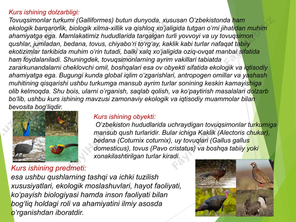 mshugʻi qavariq boʻlishiga qaramay juda oʻtkir.qanotlari kalta va keng boʻlib yugurishga , yerdan koʻtarilishga qulaydir. tovuqsimonlarning patlari mustahkam va qattiq , pat oʻqlari yaxshi rivojlangan .koʻpchilik turlarida jinsiy dimorfizm kuzatiladi bu belgilar patlarda , ranglarda namoyon boʻladi. erkaklari yirikroq, chiroyliroq boʻladi. tovuqsimonlar tundra , oʻrmon tundra , dasht , choʻl tabiat zonalarida yashab turli landshaft va biotonlarda uchraydi. koʻpchilik vakillari yerda yashaydi va yerga uya quradi .ayrim turlari daraxtlarda yashaydi lekin yerga uya quradi , gokko va goastinlar doimo daraxtda yashaydi. tovuqsimonlarning poligam tip vakillari juft hosil qilmaydi , nasl uchun gʻamxoʻrlik qilmaydi. tovuqsimonlar bir yilda bir martta toʻliq tulaydi. tovuqsimonlar turkumi -galliformes. asosan oʻtroq yashovchi yer kurrasida keng tarqalgan boʻlib tana tuzilishi , gavdasi pishiq .yerni kovlashga moslashgan toʻmtoq tirnoqli oyoqlari kuchli rivojlangan.tumshugʻi baquvvat, qanotlari kalta va keng, jigʻildoni va muskulli oshqozoni kuchli rivojlangan. mdh da 20ta oʻzbekistonda 7ta turi uchraydi . oʻsimliklarning vegetativ qismi , urugʻi , mevasi …