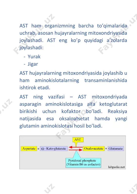 alt va ast - Page 2