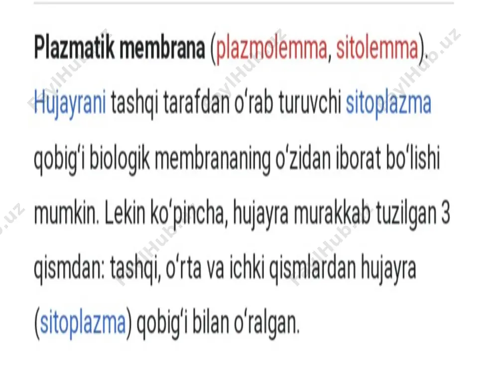 plazmatik membrana (plazmolemma, sitolemma) - Page 2