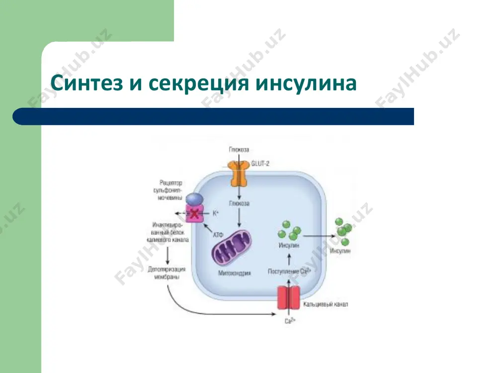 сахарный диабет - Page 4