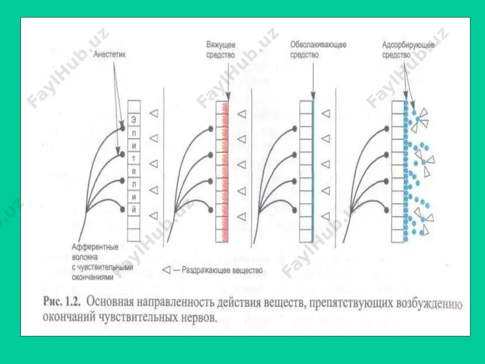 афферент нерв сезувчанлигини кучайтирувчи моддалар ва анестетиклар - Page 4
