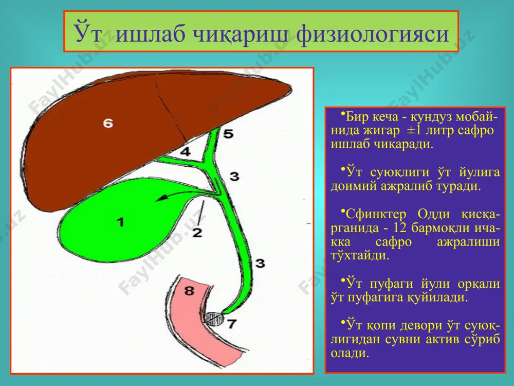 o't-tosh kasalligi. xoletsistitlar, diagnostikasi va davolash - Page 5