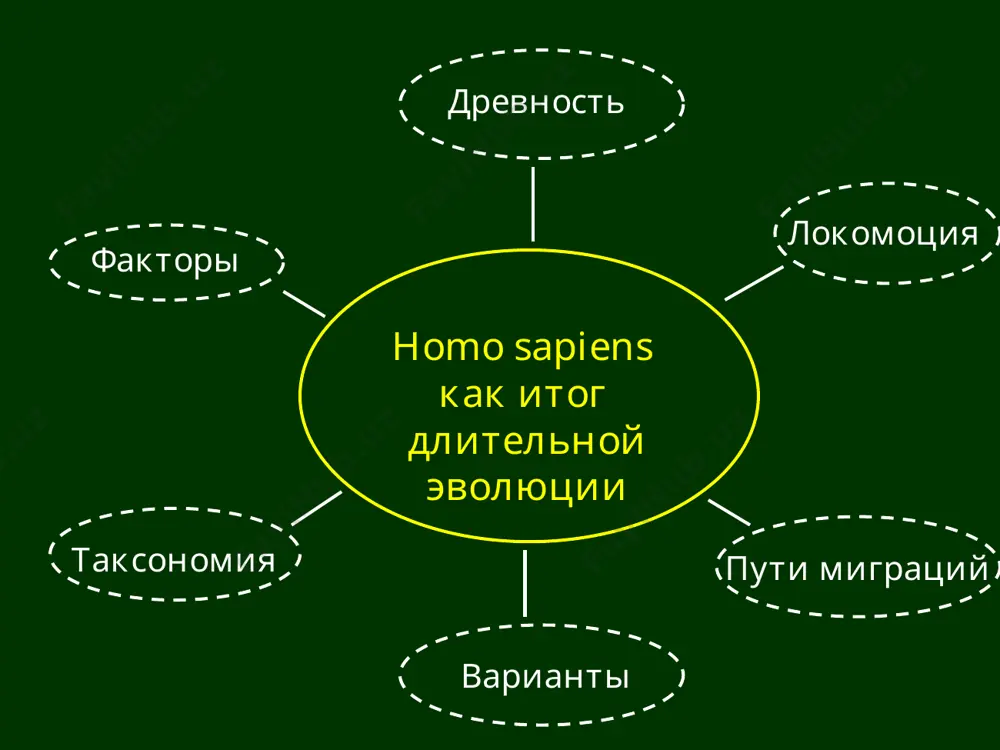 problemy evolyutsii cheloveka v sovremennoy antropologii - Page 2