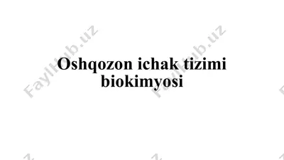 oshqozon ichak tizimi biokimyosi — PPTX