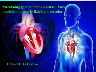 yurakning gemodinamik vazifasi — PPT