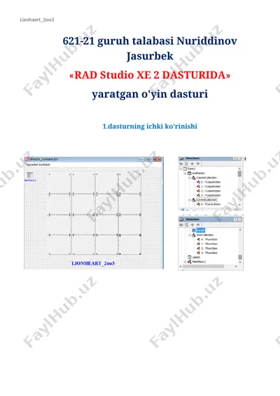 rad studio xe 2 dasturida — DOCX