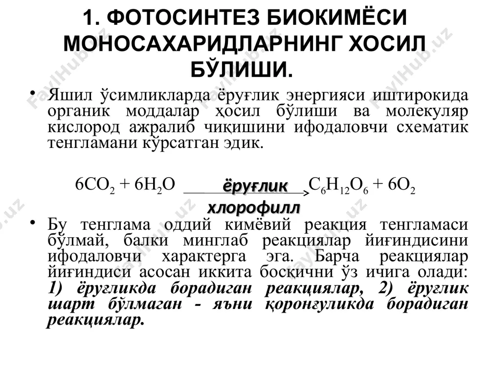 ўлган глюкоза ўсимлик организми учун хос бўлган углеводларни – сахароза, крахмал ва целлюлозани шаклланиши учун сарфланади. олиго- ва полисахаридларнинг биосинтези эндергоник (энергия талаб қиладиган) реакция хисобланади ва глюкоза молекуласини бирлашиши учун20 кдж, сахароза учун 30 кдж талаб этилади. олиго- ва полисахаридларнинг синтези учун эркин моносахаридлар эмас, балки уларнинг фосфорли эфир бирикмалари – эфир боғларида юқори энергия (15-20 кдж/моль) сақловчи бирикмалар талаб этилади. полисахаридларнинг синтези учун гликозил қолдиғининг донори нуклеозиддифосфатлар – удф-глюкоза, адф-глюкоза ва гдф-глюкоза ва бошқ. хисобланади. глюкозил қолдиғи ва нуклеозиддифосфатлар орасидаги боғ энергияси анчагина юқори – 30 кдж/молни ташкил этади. сахарозанинг биосинтези йўли сахароза ўсимликдаги харакатчан шаклдаги асосий углевод хисобланади. у фотосинтез натижасида баргларда хосил бўлади, шундан сўнг ўсимлик “капилярларига” – элаксимон найларга юкланади. сўнгра сув оқими ёрдамида илдизнинг томон харакатланади. сахароза целлюлоза ва крахмалнинг биосинтези иккала полимер – крахмал ва целлюлоза - d-глюкозадан шаклланади. ўсимлик турларига боғлиқ холда целлюлозани синтезида d-глюкозани ташувчиси адф, гдф, ёки цдф бўлиши мумкин. …