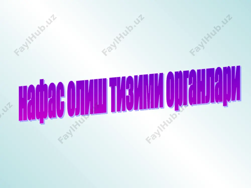 "одамнинг нафас олиш тизими" - Page 4