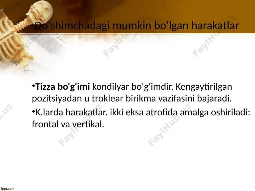 tizza bo'g'imi anatomiyasi - Page 4