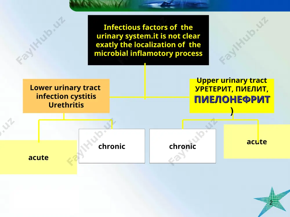 l systeem asoratlari. surunkali buyrak etishmovchiligi buyrakda kupgina abtsesslar multiplle renal abscess buyrak karbunkuli kidney carbuncul paranefrit nefrogen gipertenziya * classification pylonefritis pielonefrita shakllari kechishi faollik darajalarr buyrak funktsiya birlamchm ikkilamchi obstruktiv noobstruktivniy (dizmetabolicheskiy) aralash (obstruktiv va i dizmetabolik) utkir surunkali faol boskichlari (avj): - utkir davri; - utkir osti davri nofaol davri: - kliniko- laborator remissiya. faol davria: - kaytalanish davri; - belgilarni orkaga k5aytish davri (sunish) nofaol - kliniko-laborator remissiya buyrak funktsiyasi preserved kidney function (bfs) impaired kidney functionbuzilgan (bfn): - ube - sbe * pylonefritis utkir pielonefrit –bakterial jarayonni birlamchi manifest jarayoni bulib asosan buyrakni interstitsial tukimasi kosacha jomchasini shkastlanishi bilan kechadigan tsiklik kechuvchi va jarayonlarni orkaga kaytishi va tula tuzalishi bilan kechadigan jarayondir . surunkali pielonefrit – kasallik belgilarini 6 oydan va undan kuprok davom etganda tashxis kuyiladi. primary pylonefritisbuyrak parenximasida yalliglanish jarayoni bulib mikro organizmni buyrak kosacha va jomchalarida mikrobni buyrak tubulo interstitsial tukimasida joylashuvi …