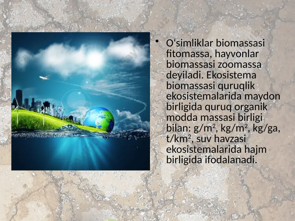 ekotizimlarning mahsuldorligi. 11 - sinf - Page 3