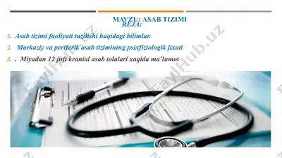 asab tizimi — PPTX