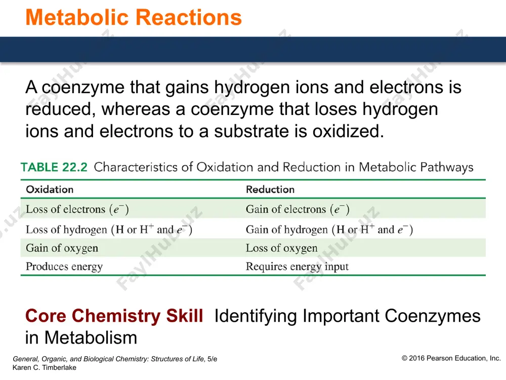 l coa. general, organic, and biological chemistry: structures of life, 5/e karen c. timberlake © 2016 pearson education, inc. 11 types of metabolic reactions metabolic reactions, which take place at body temperature and physiological ph, require enzymes and often coenzymes. general, organic, and biological chemistry: structures of life, 5/e karen c. timberlake © 2016 pearson education, inc. 12 study check match the following terms to their description. 1) nad+ 2) fad 3) nadh + h+ 4) fadh2 5) coenzyme a a. coenzyme used in oxidation of carbon-oxygen bonds b. reduced form of flavin adenine dinucleotide c. used to transfer acetyl groups d. contains riboflavin e. the coenzyme after c o bond formation general, organic, and biological chemistry: structures of life, 5/e karen c. timberlake © 2016 pearson education, inc. 13 solution match the following terms to their description. 1) nad+ 2) fad 3) nadh + h+ 4) fadh2 5) coenzyme …