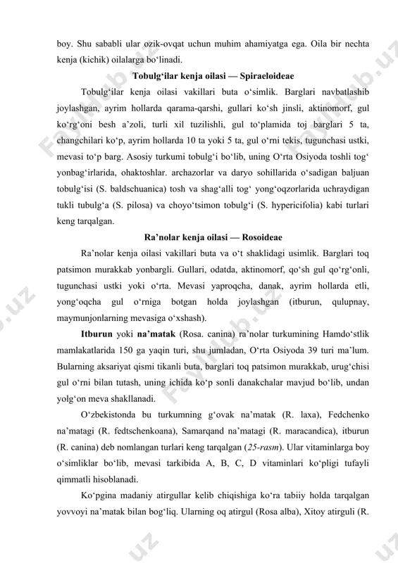 ta, barglari toq patsimon murakkab, urug‘chisi gul o‘rni bilan tutash, uning ichida ko‘p sonli danakchalar mavjud bo‘lib, undan yolg‘on meva shakllanadi. o‘zbekistonda bu turkumning g‘ovak na’matak (r. laxa), fedchenko na’matagi (r. fedtschenkoana), samarqand na’matagi (r. maracandica), itburun (r. canina) deb nomlangan turlari keng tarqalgan (25-rasm). ular vitaminlarga boy o‘simliklar bo‘lib, mevasi tarkibida a, b, c, d vitaminlari ko‘pligi tufayli qimmatli hisoblanadi. ko‘pgina madaniy atirgullar kelib chiqishiga ko‘ra tabiiy holda tarqalgan yovvoyi na’matak bilan bog‘liq. ularning oq atirgul (rosa alba), xitoy atirguli (r. chinensis), qirq og‘ayni (r. domestica), guli ra’no (r. multiflora) singari turlari gulxonalarda o‘stirilishidan tashqari muhim efir moyli o‘simliklardan hisoblanadi. qadim-qadim zamonlardan beri o‘rta osiyo xalqlari bu o‘simliklarning toj barglaridan har xil murabbolar va nihoyatda xushbo‘y ichimlik — gulob tayyorlashgan. maymunjon (rubus) turkumining 6 turi o‘zbekistonda o‘t o‘simliklarga boy tosh va shag‘al toshli aralash tuproqli tog‘ yonbag‘irlarida o‘sadi. ularning zangori maymunjon (rubus caesius), oddiy maymunjon (r. idaeus), qora maymunjon …