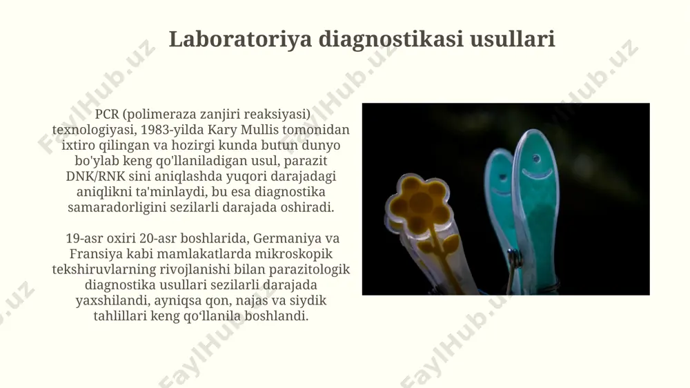 qaruvchi parazitlarning turlari batafsil o'rganila boshlandi. 18-asrda karl linney tomonidan yaratilgan ikki nomli nomenklatura tizimi parazitlarning tasniflanishi va ularning biologik xususiyatlarini aniqlashda muhim rol o'ynadi, dunyo bo'ylab 1000 dan ortiq tur aniqlangan. parazitologiyaning qadimgi tarixi miloddan avvalgi 1550-yillarga oid misr papiruslarida, shuningdek, qadimgi mesopotamiya hududlarida parazit kasalliklarining belgilarini aks ettiruvchi yozuvlar topilgan. qadimgi yunoniston olimi gipokrat (miloddan avvalgi 460-370) o'z asarlarida giardiaz kabi ba'zi parazit infektsiyalarni tasvirlab bergan va ularning alomatlarini kuzatgan. e'tiboringiz uchun rahmat @taqdimot_robot image2.jpg image3.jpg image4.jpg image5.jpg image6.jpg image7.jpg image8.jpg image9.jpg image10.jpg image11.jpg image12.jpg image13.jpg image14.jpg image15.jpg