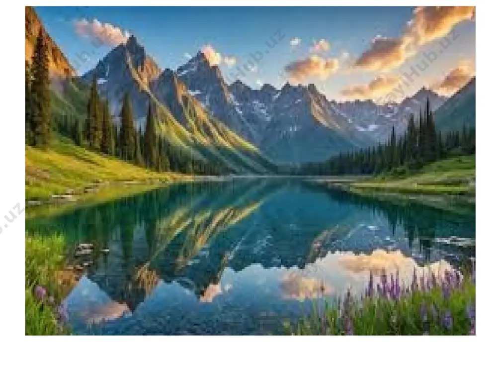 ni ro‘yobga chiqarmasak ne foyda. orzu niyatlarimizni ro‘yobga chiqarish uchun biz avvalo o‘zimizga, aniqrog‘i, o‘sha niyatlarimiz amalga oshishiga ishonishimiz va maqsadlar yo‘lida barcha imkoniyatlardan foydalanib, harakat qilishimiz kerak. maqsad qat’iy bo‘lsa, baribir bir kun orzuga yetishish mumkin. lekin ba’zan ko‘p narsani xohlaymiz-u istaklarimizni ro‘yobga chiqarish uchun o‘zimiz ham shunga yarasha intilmaymiz. bu irodasizlik va kuchsizlik alomati deb o‘ylayman. haqiqiy kuch bilakda emas, irodada, ishonchda! kuchli odamlar erinchoqlikni unutadi, o‘zini doimo nazorat qila oladi. har kuni kechqurun, bugun men nimalarga ulgurdim, qaysi ishlarimni bajara oldim-u qaysilari chala qoldi, deb sarhisob qiladi. so‘ng ertangi kun uchun rejalar tuzadi. bunday insonlarning avvalo yashashdan maqsadi aniq, ertangi kunidan umidi katta, bir oydan, bir yildan so‘ng nima ish qilishini biladi. kuchli odam o‘zining kamchiligidan tonmaydi. men nima uchun yashayapman, degan savolni o‘z-o‘ziga bera oladi va shu savolga doimo javob axtaradi. prezidentimiz qayd etganidek, “huquqiy davlatning asosiy belgisi barcha fuqarolarning qonun oldida tengligi, konstitutsiya va qonunlarning …
