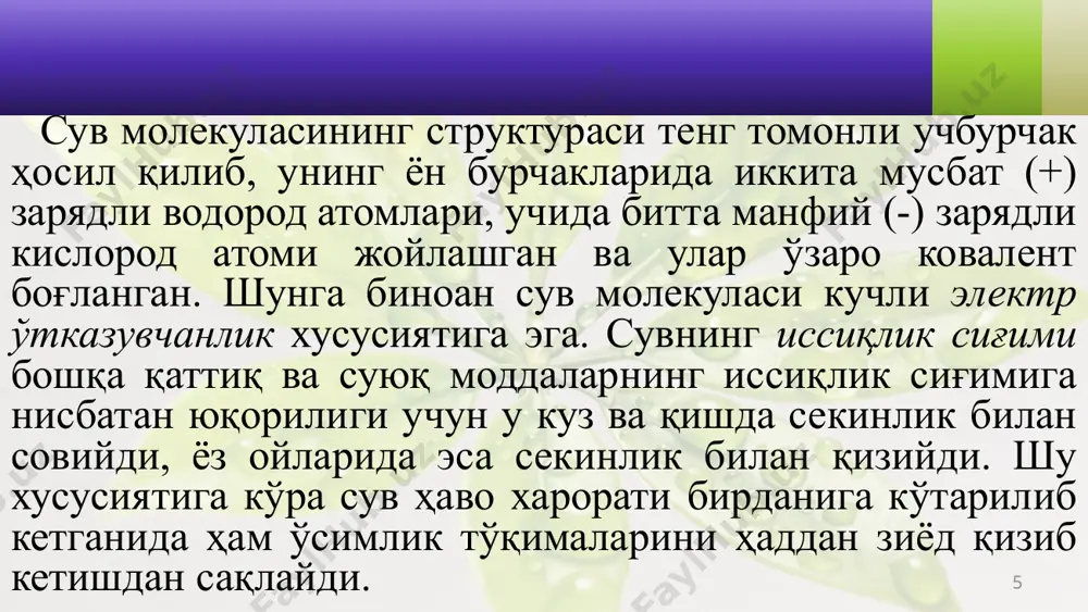 ки органларига кўра тез ривожланади ва ўзининг умумий сатҳига нисбатан 100 ва ундан ортиқ маратоба катта бўлади. масалан, 4 ойлик сули ўсимлиги табиий шароитда ўсганда 14 миллионга яқин илдизлар ҳосил қилиб, уларнинг умумий узунлиги 600 км, юзаси эса 232 м2, илдиз тукчаларининг сони 15 миллиард, умумий узунлиги 10 000 км, юзаси эса 399 м2 атрофида бўлиши аниқланган. 19 илдиз ҳужайраларининг сувни фаол шимиши ва сиқиб юқорига чиқариши илдизлардаги модда алмашинуви сабабли рўй беради. натижада илдиз тукчалари сўриб олган сув ўтказувчи найларгача етказилади. илдизнинг пўстлоқ тўқимаси ҳужайралари орқали сув ҳаракати уч хил – апопласт, симпласт ва трансвакуоляр йўллари билан амалга ошиши мумкин. сувнинг ҳужайра цитоплазмаси орқали ҳаракатланиши симпласт йўли ҳисобланади. ризодерма ва паренхима ҳужайраларига сувнинг кириши ва ҳаракатланиши осмос қонунлари асосида содир бўлади. бу ҳаракатга қисман атф ҳам сарфланади. 20 ҳужайра пўстининг қаршилиги цитоплазмага қараганда анча камлиги апопласт ҳаракатининг фаоллигига сабаб бўлади. бу ҳаракат ризодерма – илдиз тукчалари ҳужайраларининг пўстидан бошланиб, …