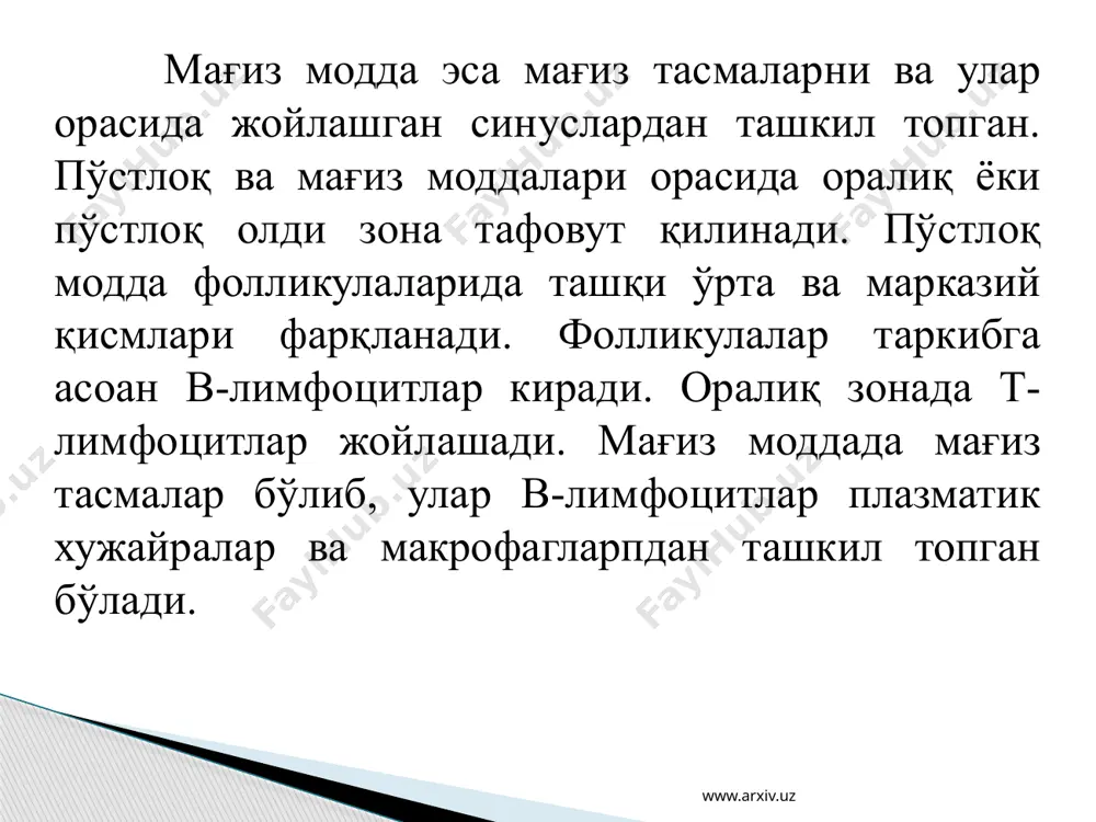 периферик қон яратувчи ва иммун химоя аъзолар. талоқ ва лимфа тугуни, тузилиши. т ва в зоналар - Page 5