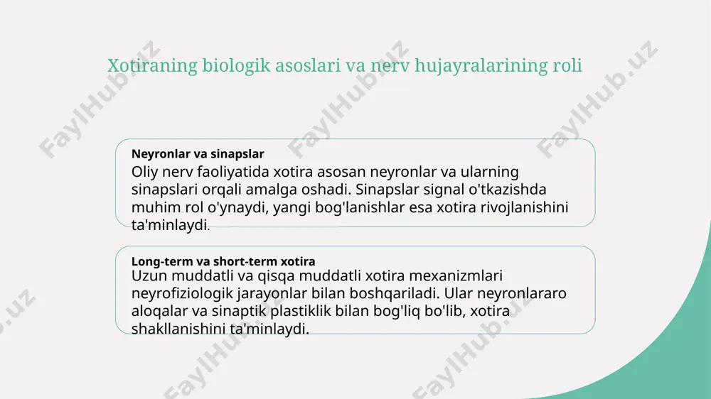 k va o‘qish jarayoni neuroplastiklik — nerv hujayralarining yangi tugunlar hosil qilish va mavjudlarini qayta tashkil etish qobiliyati. bu mexanizm, o‘qish va amaliyot orqali kognitiv funktsiyalarni rivojlantiradi. 03 eshitish va vizual stimulyatsiya turli stimulyatsiyalar, ayniqsa eshitish va vizual ma'lumotlar, miyada yangi sinaptik aloqalarni shakllantiradi. bu jarayonlar, xotira va fikrlashni yanada mustahkamlashga yordam beradi. turli xotira turlarining o'ziga xos xususiyatlari va ularning rivojlanishi 01 qisqa va uzoq muddatli xotira qisqa muddatli xotira ma'lumotlarni qisqa vaqt davomida saqlaydi, uzoq muddatli esa yillarga yoki hayot davomida saqlanishi mumkin. 02 ijodiy va amaliy xotira ijodiy xotira yangi g'oyalar va tasavvurlar uchun, amaliy xotira esa kundalik faoliyatlar va harakatlar uchun, ular turli fikrlash shakllarini rivojlantiradi. 03 semantik va episodik xotira semantik xotira umumiy bilimlarni, episodik esa shaxsiy voqealar va tajribalarni saqlaydi. har ikkalasi muhim kognitiv jarayonlarni tashkil etadi. 04 rivojlanish va o'zgarishlar xotira turlari yosh bilan rivojlanadi, yangi nerv tarmoqlari hosil bo'ladi, va ularning mustahkamligi …