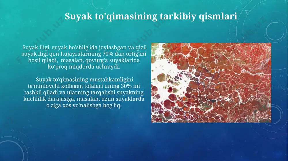 siyalari, masalan, mushaklarni biriktirish kabi, 30 dan ortiq turli xil hujayra va to'qima elementlari bilan belgilanadi. biriktiruvchi to'qimalarning asosiy hujayralari – fibroblastlar bo'lib, ular 3 turdagi tolalar – kollagen, elastik va retikulyar tolalarni hosil qiladi va 20 dan ortiq turdagi hujayralarni o'z ichiga oladi, ularning tarkibi joylashuviga qarab farq qiladi. e'tiboringiz uchun rahmat @taqdimot_robot image3.png image4.jpg image5.jpg image6.jpg image7.jpg image8.jpg image9.jpg image10.jpg image11.jpg image12.jpg image13.jpg image14.jpg image15.jpg image16.jpg image17.jpg image18.jpg image19.jpg image20.jpg