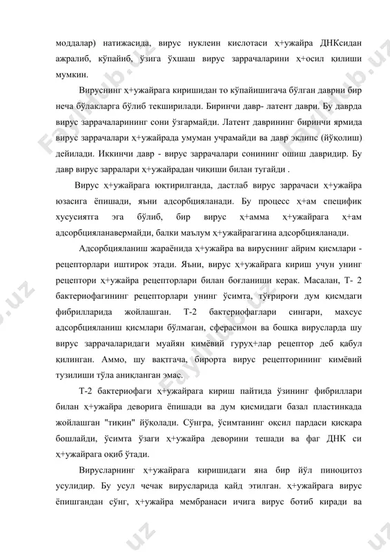 ферментлари таъсирида вирус заррасидаги оқсил ва фосфолипидлар парчаланади. озод бўлган нуклеопротеид таркибидаги днк, ҳ+ужайрадаги "ечинтирувчи" ферментлар воситасида ажралади. оитс вирусининг ҳ+ужайрага кириш жараёни р -120 оқсилини т - хелперларни мембранасидаги т-4 рецепторлар билан боғланишидан бошланади. электрон микроскопда вирус заррасини т-ҳ+ужайралар рецепторлари билан бирикиб, ҳ+ужайра цитопламаси ичига ботиб кириши яхши кўринади. аввал ҳ+ужайра мембранасининг протоплазма ичига бўртиб чиқиши кузатилади ва вирус зарраси вакуола билан ўралади. кейинчалик вирус қобиғи эриб кетади. вирус шу вақтда ҳ+ужайрада йўқолади, унинг рнк си ёки к-днк си ҳ+ам ўта кичик бўлганлигидан электрон микроскопда ҳ+ам кўринмайди. секин-аста вирус репликацияси бошланади ва касалланган ҳ+ужайра мембранасида р- 120 оқсили пайдо бўлади. бу даврда вирус ҳ+осил бўлаётган касал ҳ+ужайрани молекула даражасида соғ ҳ+ужайрадан фарқлаб аниқлаш мумкин бўлади. вақт ўтиши билан электрон микроскопда кўплаб вирус зарраларини кузатиш мумкин. ҳ+озирга кунда касал ҳ+ужайралар мембранасида р -120 оқсилини пайдо бўлиши бу дахшатли вирус билан кураш чораларини ишлаб чиқишда қўлланилмоқда. ўсимлик вируслари рецепторлари ҳ+ам, деярли …