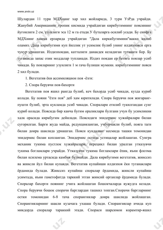 кузачага ухшаш булади. спорангиялар ичида куп микдорда споралар тараккий этади. спораси шарсимон корамтир-яшил хужайралардан иборат булиб, 2 кават пуст билан уралган. ташки пусти "экзина" ички пусти "интина" деб аталади. споранинг 4 та сперальсимон эллатераси булади. эллатера хаво нам булган вактда эллатералар тугриланиб, ёзилиб кетади. бу эллатералар спораларнинг бир бирига илашиб таркалишига ёрдам беради. споралар морфологик жихатдан бир хил булса хам, физиологик жихатдан хар хил булади. бир хил спорадан оталик усимта усиб чикса, 2 хил спорадан оналик усимта усиб чикади. усимталарнинг оталик ёки оналик булишига ташки мухит хам боглик. усимта 2 уйлик, 1 жинсли, агар спора органик моддаси куп булган унумдор ерга тушиб колса, ундан оналик усимтаси, кумли ерга тушиб колса, оталик усимтага айланади. жинсий купайиш сувнинг ёрдамида булади. антеридия ишлаб чиккан сперматозоидлар сувда сузиб бориб, архегониялар буйни оркали кириб тухум хужайрани оталантиради. натижада эмбрион хосил булади. эмбрионни янги усимлик-жинссиз насл-спорофит усиб чикади. киркбугимнинг ёзги пояси медицинада сийдик хайдовчи сифатида ишлатилади. …