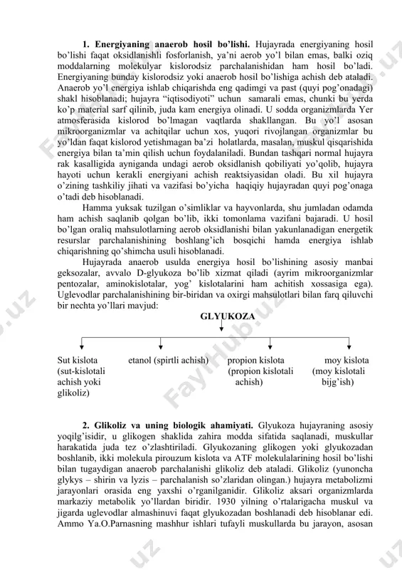 lotalarini ham achitish xossasiga ega). uglevodlar parchalanishining bir-biridan va oxirgi mahsulotlari bilan farq qiluvchi bir nechta yo’llari mavjud: glyukoza sut kislota etanol (spirtli achish) propion kislota moy kislota (sut-kislotali (propion kislotali (moy kislotali achish yoki achish) bijg’ish) glikoliz) 2. glikoliz va uning biologik ahamiyati. glyukoza hujayraning asosiy yoqilg’isidir, u glikogen shaklida zahira modda sifatida saqlanadi, muskullar harakatida juda tez o’zlashtiriladi. glyukozaning glikogen yoki glyukozadan boshlanib, ikki molekula pirouzum kislota va atf molekulalarining hosil bo’lishi bilan tugaydigan anaerob parchalanishi glikoliz deb ataladi. glikoliz (yunoncha glykys – shirin va lyzis – parchalanish so’zlaridan olingan.) hujayra metabolizmi jarayonlari orasida eng yaxshi o’rganilganidir. glikoliz aksari organizmlarda markaziy metabolik yo’llardan biridir. 1930 yilning o’rtalarigacha muskul va jigarda uglevodlar almashinuvi faqat glyukozadan boshlanadi deb hisoblanar edi. ammo ya.o.parnasning mashhur ishlari tufayli muskullarda bu jarayon, asosan glikogenning fosfat kislota biriktirib parchalashi – fosforolizdan boshlanishi kashf etilgandan so’ng fanga glikogenoliz atamasi kiritildi. glikoliz jarayonida glyukozaning 6 uglerodli molekulasi …
