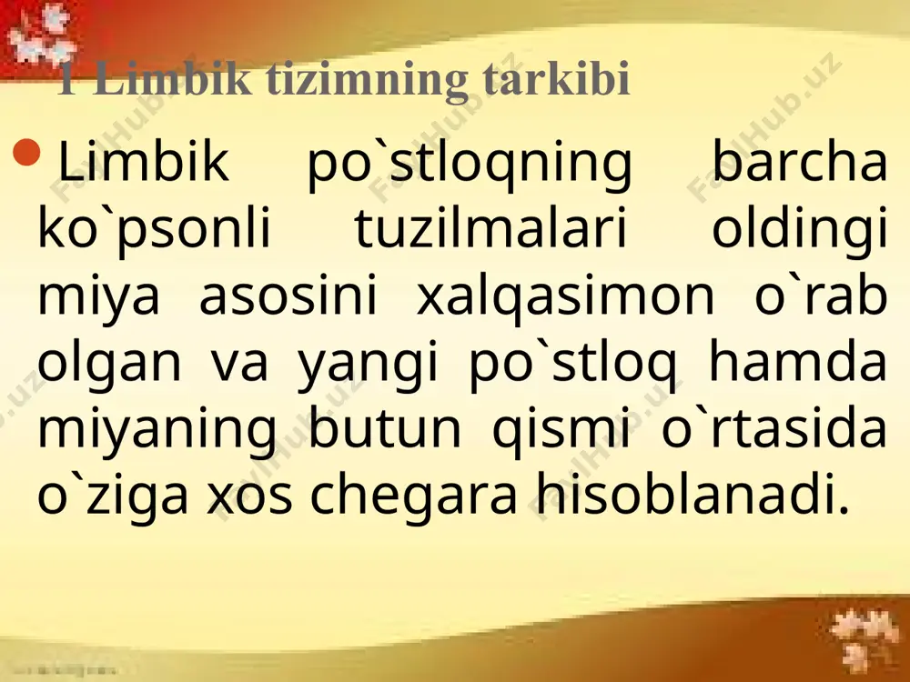 limbik tizim - Page 3