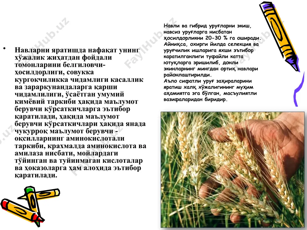 онуниятларини ўрганиш ота-она булувчи жуфт­ларни тўғри танлаш ва дурагайларни устириш имконини беради. чатиштирилган ўсимликларни дурагайлаш ботаник жиҳатдан икки хил турга бўлинади: а) тур ичида - бир турнинг ўзига тегишли бўлган турли нав­ларнинг ва ҳар хил турлардаги навларнинг чатиштирилиши. б) алоҳида - турли туркумдаги ва ҳар хил турдаги ўсимлик­ларнинг чатиштирилиши. тур ичидаги чатиштириш осон амалга оширилиб, бундан чатиш­тириш натижасида серҳосил насл олинади. дурагайлашнинг бу тури қишлоқ хўжалик экинлари селекциясида жуда кенг қўлланилади. навни синаш илмий-тадқиқот муассасалари хилма-хил ва мураккаб селекцион ишларни олиб бориш учун ниҳолхоналар тизимини ташкил этадилар. у ерда селекцион ашё ўрганилади, баҳоланади ва тарбияланади. селекцион муассасалар ниҳолхонасидаги махсус ер майдонлар селекцион ишнинг мақсадига мос равишда ишлов борилади (муайян районга мос равишда, махсус агротехник тадбирлар). ниҳолхона ер майдонлари, одатда турли хил катталикдаги бўлинмаларга ажрати­лади. дастлабки материалдан бошлаб ишлаб чиқаришда навни синашга­ча бўлган барча селекцион жараёнларда баҳолаш ишлари олиб бори­лади. ашё барча белгилари бўйича баҳоланади ва селекцион жараён­нинг турли босқичларида турлича …