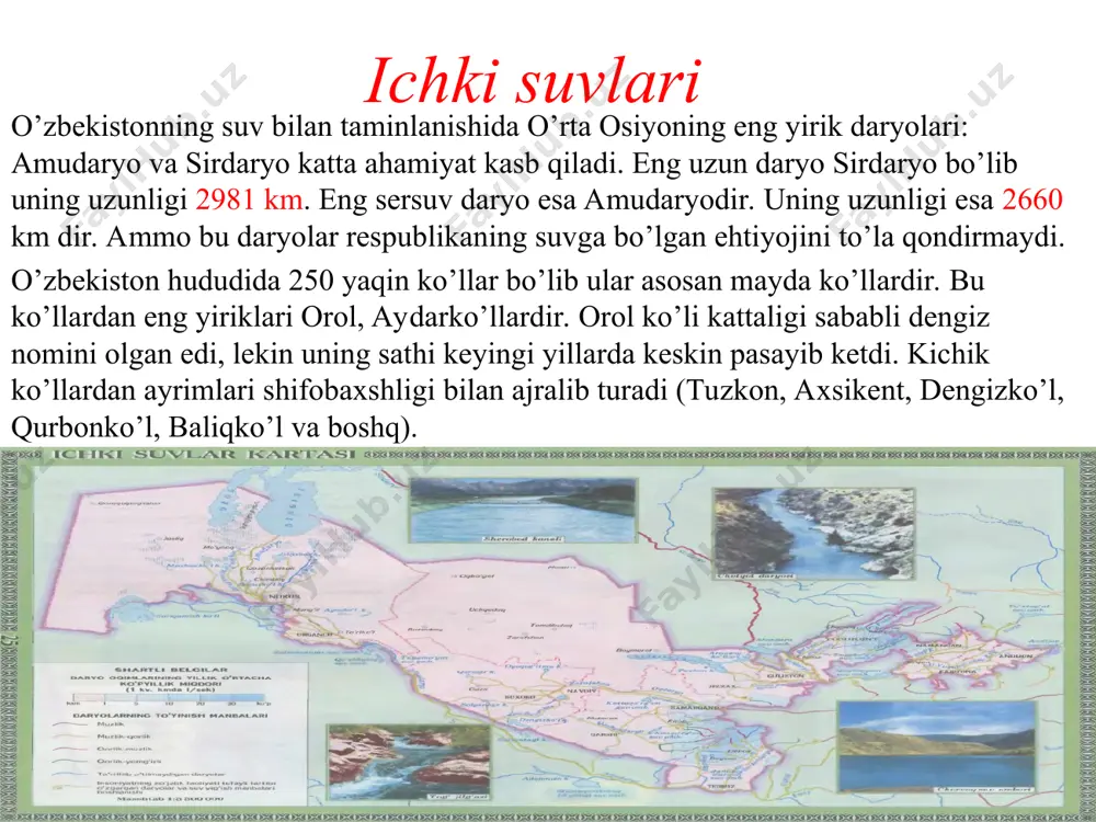 ingan. reschpublikada olib borilgan agrar siyosat tufayli bu narsa asta sekin barham topmoqda. hozirgi kunda respublikada 7,5 mln tonnaga yaqin bug’doy yetishtirilmoqda. bu esa o’z navbatida g’alla mustaqilligiga erishishga olib kelmoqda. g’allachilikda sholi yetishtirish ham katta ahamiyat kasb etadi. sholi yetishti rishda qoraqalpog’iston va xorazm viloyatlari yetakchilik qilishadi. chorvachilik dehkonchilikdan keyitn ikkinchi o’rinda turadi. unda yetakchi tarmoq - qo’ychilikdir. ayniqsa respublikada qorako’l qo’ylari boqilishi yaxshi yo’lga qo’yilgan bo’lib, xalqaro ihtisoslashgan tarmoqqa aylangan. navoiy, buxoro, qashqadaryo. samarqand va jizzax viloyatlari hamda qoraqalpog’istonda ko’plab qorako’l qo’ylari boqiladi. surxondaryo, buxoro qashqadaryo vilroyatlarida hisori qo’ylariko’p bo’lib, ular asosan go’shti va yungi uchun boqiladi. namangan viloyati esa mayin yungli angor echkilarini boqishda yetakchilik qiladi. qoramollar barcha viloyatlarda boqiladi. eng ko’p qashqadaryo, toshkent, farg’ona, samarqand viloyatlariga to’g’ri keladi.yirik shaharlar atrofida sut-go’sht chorvachilik, cho’l mintaqalarida esa go’sht-sut chorvachiligi rivojlangan. mustaqillik yillaridan boshlab yilqichilik ham ko’paya boshladi. shuningdek, respublikada parrandachilik, darrandachilik ham keng rivojlanmoqda. e’tiboringiz uchun rahmat