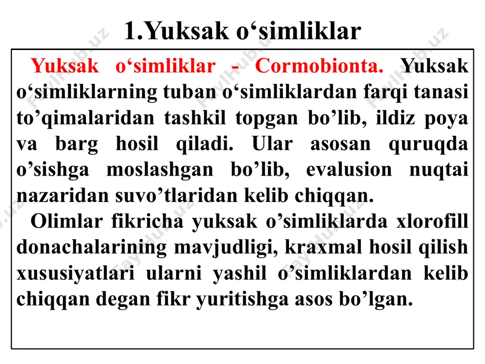 a va urug’ vositasida bo’ladi. arxegoniyning asosiy vazifasi tuxum hujayrasini hosil qilishga xizmat qilishdir. arxegonial o’simliklarning otalik organi anteridiy deb nomlanadi. unda ko’p miqdorda spermatozoid hosil bo’ladi. moxsimonlar-bryophyta. moxsimonlarda ildiz bo’lmaydi, o’tkazuvchi naylar hosil qilmaydi va yog’ochlangan shakllari bo’lmaydi. • moxsimonlarga 35000 turdagi o’simliklar kiradi. moxsimonlar avtotrof o’simliklardir. ularning tanasi poya va barg hosil qiladi, ildiz vazifasini rizoidlar bajaradi. moxsiomnlarning o’lchami 20-40 sm ni tashkil qiladi. moxsimonlar jinssiz, jinsiy va vegetativ usulda ko’payadi. jinssiz usulda ko’payish sporafit nasl deb nomlanadi. sporangiyda yetilgan sporalar qulay sharoitga tushib protonema yashil o’simtani hosil qiladi. jinsiy ko’payish moxsimonlarda anteridiy va arxegoniynnig hosil bo’lishi bilan boshlanadi. jinsiy nasl gametofit deb nomlanib, o’zida sporofit naslni saqlash xususiyatiga ega. vegetativ ko’payish vegetativ tananing biror bo’lagi bilan amalga oshadi. кlassifikatsiyasi. moxsimonlar 3 ta sinfga bo‘linadi. 1. sinf - jigar moxlari 2. sinf - poya bargli moxlar 3. sinf - antoserotlar. plaunsimonlar. yer yuzida tarqalgan yuksak o’simliklar orasida eng …