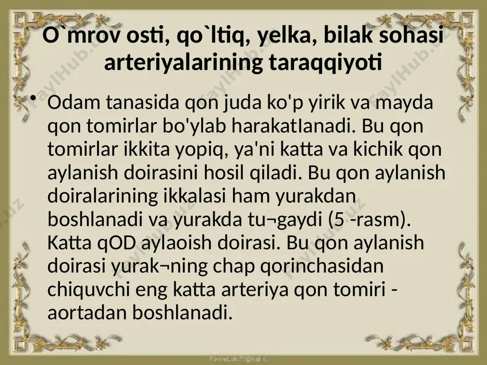riyalariga bo'linadi. tashqi uyqu arteriyalari bosh va yuzning terisini quloq muskul¬larini, tilni, halqum, hiqildoq, so'lak bezlari va tanani bosh qismidagi barcha to'qima va organlami, ichki uyqu arteriyalari esa bosh miyani, ko'z soqqasini arterial qon bilan ta'minlaydi. o'ng va chap o'mrov osli arteriyalarining har biri yelka va qo'ltiq osti arteriyalariga bo'linib, bo'yin, yelka, bilak va qo'l panjasi¬ning terisini, muskullarini, suyaklarini, shu sohadagi bo'g'im¬lami arterial qon bilan ta'minlaydi. aortaning ko'krak qismidan qizilo'ngach, qovurg'alararo va bel arteriyalari chiqib, ular qizilo'ngachni, ko'krak qafasi va qorin devori to'qimalarini arterial qon bilan ta'minlaydi. uning qorin qismidan chiqadigan arteriya tomirlari oshqozon, ichaklami, jigar, taloqni, buyraklar va buyrak usti bezlarini arterial qon bilan ta'minlaydi. aortaning qorin qismidan chiqadigan arteriyalar to'g'ri ichak, to'g'ri ichak, siydik xaltasi, ayollarda bachadon hamda son, bol¬dir, oyoq, tovon va panja terisi, muskullari, suyaklari va shu sohadagi bo'g'imlami arterial qon bilan ta'minlaydi. aortadan chiqadigan yirik arteriya qon tomirlari o'z navbatida o'rtacha, mayda tomirlarga, ular esa …