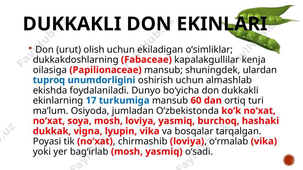 a, murtak o'qida va urug‘ po‘stida juda kam miqdorda uchraydi. dukkaklilaming donlari oqsillari ularning struktura xususiyatlari va saqlaydigan proteinlariga qarab tasniflanadi. struktur oqsillar ba’zida fermentativ yoki katalitik oqsillar deb ham yuritiladi va ular proteaz ingibitorlar, lektinlar, lipoksigenazalar, amilazalar va ingibitorlardan iborat bo‘ladi. shu bilan birga ular don tarkibidagi urug‘pallalarda topilgan umumiy oqsillaming kam foizini tashkil qiladi va hujayra metabolizmi uchun javobgar oqsillar sirasiga kiradi. don-dukkakli mahsulotlar biokimyoviy tarkibi don-dukkakli ekinlar mahsulotlari tarkibida a, b1, b2, c, d, e, pp va boshqa vitaminlar juda ko‘p bo‘ladi. butun dunyoda don-dukkakli ekinlar orasida gorox ahamiyati va yetishtirilish jihatidan birinchi o‘rinni egallagan. pishib yetilgan gorox urug‘ida suv 10-14 %; oqsil 17,5-36 %; kraxmal 48-58 %; yog‘lar 1,2-1,5 %; kletchatka 3-6 % va mineral moddalar 2,4-3,5 % tashkil etadi. ana shu fraksiyalar hisobiga oqsil 90 % gacha bo‘lgan miqdorni tashkil etadi. gorox oqsili organizmga tez hazmlanishi bo‘yicha birinchi o‘rinni egallaydi. don-dukkakli mahsulotlar biokimyoviy tarkibi gorox …
