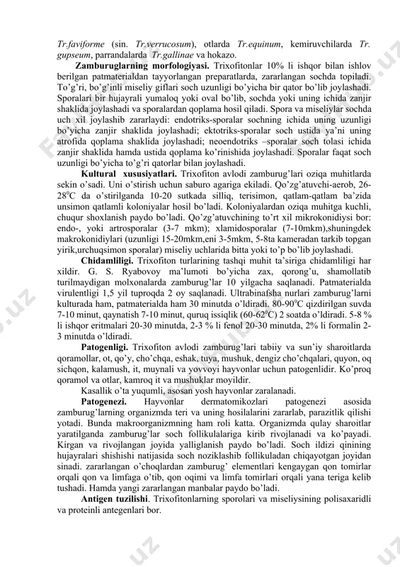 iglanishi bilan xarakterlanadi. ular organizmga kontakt-bir biriga tegish yo’li bilan kiradi. 1845 yilda qo’zg’atuvchilardan birini shved olimi m. malmsten ochdi va trichophyton deb atadi. hozirgi vaqtda trixofitonlarning qator turlari ma’lum. buzoq va qo’zilarda tr.faviforme (sin. tr.verrucosum), otlarda tr.equinum, kemiruvchilarda tr. gupseum, parrandalarda tr.gallinae va hokazo. zamburuglarning morfologiyasi. trixofitonlar 10% li ishqor bilan ishlov berilgan patmaterialdan tayyorlangan preparatlarda, zararlangan sochda topiladi. to’g’ri, bo’g’inli miseliy giflari soch uzunligi bo’yicha bir qator bo’lib joylashadi. sporalari bir hujayrali yumaloq yoki oval bo’lib, sochda yoki uning ichida zanjir shaklida joylashadi va sporalardan qoplama hosil qiladi. spora va miseliylar sochda uch xil joylashib zararlaydi: endotriks-sporalar sochning ichida uning uzunligi bo’yicha zanjir shaklida joylashadi; ektotriks-sporalar soch ustida ya’ni uning atrofida qoplama shaklida joylashadi; neoendotriks –sporalar soch tolasi ichida zanjir shaklida hamda ustida qoplama ko’rinishida joylashadi. sporalar faqat soch uzunligi bo’yicha to’g’ri qatorlar bilan joylashadi. kultural xususiyatlari. trixofiton avlodi zamburug’lari oziqa muhitlarda sekin o’sadi. uni o’stirish uchun saburo …