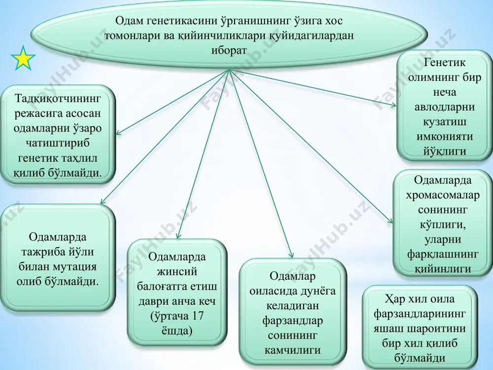 оглификанинг учта тури мавжуд дактилоскопия пальмоскопия плантоскопия хромасома касалликларини аниқлашда қўшимча усул сифатида фойдаланилади эгизаклар зиготалигини аниқлашда фойдаланила ди суд тиббиётида фойдаланила ди товондаги чизиқлар йўналишини ўрганиш 60% трирадиус -делта йўқ бармоқларда тери изларини ўрганиш ёйсимон дактилоскопия плантоскопия пальмоскопия айланасимон илгаксимон битта трирадиусл и -делтали иккита трирадиусл и -делтали 6% 34% қўл кафтидаги чизиқлар, трирадиуслар, adt бурчакни ўрганиш. atd бурчак кенглиги клайнфельтер синдромида-42 соғлом одамда 57 шерешевский тернер синдромида- 66 даун синдромида 90-80 дермотоглифика текшируви турлари иммуногенетика усули орқали ... иммунитетнинг ирсий асосларини антигенлар хилма- хиллигини тўқималар трансплантациясини тўқима антигенларини – нla системаси ўрганилади 1. туғма иммун етишмаслик ҳолатларига ташхис кўйилади. 2. она ва ҳомила ўртасида қон тизимлари(rh-омил, қон гуруҳлари) бўйича антиген мос тушмаслик ҳолатларига шубҳа бўлганда ташхис қўйилади. 3. оталик аниқланади. *биокимёвий усул: *биокимёвий усул моддалар алмашинуви бузилиши билан ҳарактерланадиган ирсий ген касалликларини (фенилкетанурия, гемаглобинопатия, қандли диабет, амовротик идиотия, гемахромотоз ва ҳак.)ташҳис қилишда қўлланилади. *бу усул икки босқичдан иборат: …