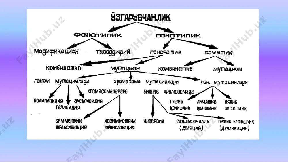20% ини ташкил этади). саналиш тартибини ўзгартирувчи мутация — ген таркибидаги нуклеотидлар жуфтини миқдорини ўзгариши. днк кетма кетлигидаги мутация , учга каррали бўлмаган нуклеотидлар делецияси ёки киритилиши ген таркибидаги нуклеотидлар кетма кетлиги тартибини ўзгариши (инверсия). нуклеотидлар қайтарилишини экспансияси ген мутацияларини келиб чикишига кўра иккита гурухга ажратиш мумкин: бир жуфт азотли асосларнинг бошқаси билан алмашинувидан ҳосил бўлган мутациялар. азотли асосларнинг тушиб ёки ортиб кетишидан ҳосил бўлган мутациялар. икки хил йўл билан ҳосил бўлади: транзиция ва трансверсия икки хил йўл билан ҳосил бўлади: нуклеотидлар жуфтининг ошиб кетиши ва камайиб кетиши транзиция – бу нуқтали мутация бўлиб, битта жуфтни хосил қилган азотли асоснинг шу жуфтга кирувчи бошқаси билан яъни пуринли асосларнинг пуринли билан (а, г) пиримидинли асосларнинг пиримидинли билан (т, ц) алмашинуви трансверсия - битта гурухга кирувчи азотли асоснинг иккинчи гурух нуклеотиди билан, яъни пуриннинг пиримидин билан ёки пиримидиннинг пурин билан алмашинуви. transition and transversion mutations in dna азотли асосларнинг алмашинуви билан боғлиқ …