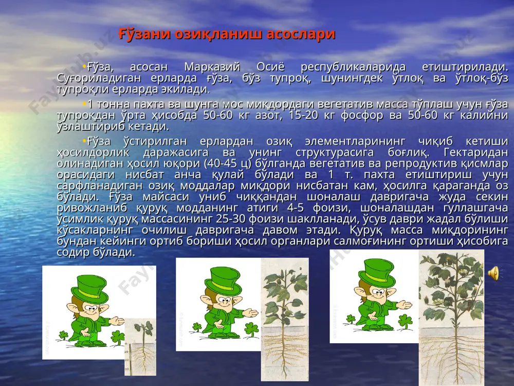 рилиши унинг турли ривожланиш даврларида қуйидагича шоналашгача - 5% шоналашдан гуллашгача - 35%, гуллашдан пишишгача - 50% вегетация даврининг охиригача 10% фосфорли ўғитларни йиллик нормаси тупроқларнинг ҳаракатчан p2оз билан таъминланиш даражасига қараб белгиланади. тупроқлар p2оз билан кам таъминланганда гектарига 150 кг, ўртача таъминлаганда – 100 кг, юқори ва жуда ортиқча таъминланганда - 50 кг дан фосфорни 200 кг/га n билан биргалиқда қўллаш ўртача 35 ц/га ҳосил етиштиришни таъминлаши тажрибаларда аниқланган. алмашлаб экиш даласида бедадан кейин 2-3 йиллари фосфорли ўғитларнинг самарадорлиги ошса, 4-6 йилларга келиб уларнинг самарадорлиги камайиб боради. кузги шудгорлашда берилган фосфорли ўғитларни ўсимлик орадан 35-40 кун ўтганда, экиш билан биргалиқда берилганда эса 5-8 кун ўтгач ўзлаштира бошлайди. экиш билан бериладиган фосфорни уруғдан 5-7 см узоқлиқда ва 12-15 см чуқурлиқда бериш керак. ғўза ҳосилдорлигини оширишда калийли ўғитларни қўллаш ва уни самарадорлиги ер қобиғидаги к2о миқдори 2,35% ни ташкил этса, тупроқдаги калий эса 0,15 дан 4% гача боради. унинг асосий қисми …