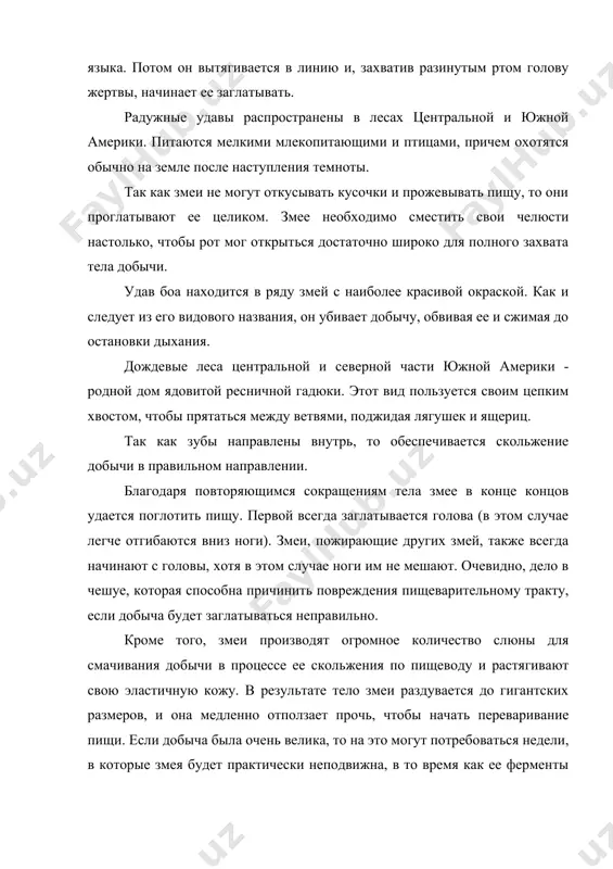 воим цепким хвостом, чтобы прятаться между ветвями, поджидая лягушек и ящериц. так как зубы направлены внутрь, то обеспечивается скольжение добычи в правильном направлении. благодаря повторяющимся сокращениям тела змее в конце концов удается поглотить пищу. первой всегда заглатывается голова (в этом случае легче отгибаются вниз ноги). змеи, пожирающие других змей, также всегда начинают с головы, хотя в этом случае ноги им не мешают. очевидно, дело в чешуе, которая способна причинить повреждения пищеварительному тракту, если добыча будет заглатываться неправильно. кроме того, змеи производят огромное количество слюны для смачивания добычи в процессе ее скольжения по пищеводу и растягивают свою эластичную кожу. в результате тело змеи раздувается до гигантских размеров, и она медленно отползает прочь, чтобы начать переваривание пищи. если добыча была очень велика, то на это могут потребоваться недели, в которые змея будет практически неподвижна, в то время как ее ферменты постепенно разлагают пищу. постепенно вздутие тела уменьшается, и змея снова становится дееспособной. …
