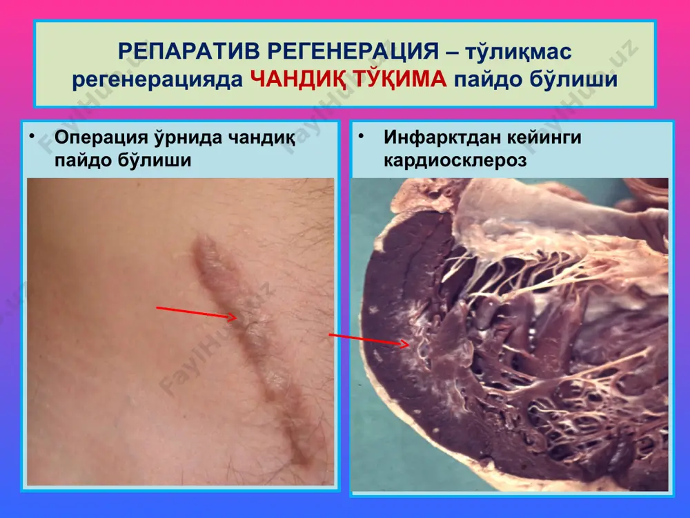 мосланиш-ўрин алмашиниш жараёнлари - Page 5