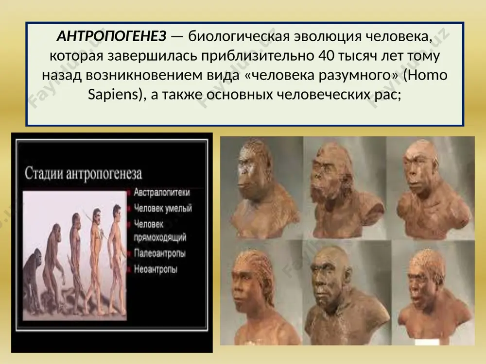 a» (mednokamenniy vek) – 4-3 tis. let do n.e. osnovnoy tip pamyatnikov – eto anau i namazga-tepa v yujnoy turkmenii, sarazm, zamanbaba, uchtut i dr. v etot period v jizni lyudey bolshuyu rol nachinaet igrat metall – med. no mestorojdeniya ee bili ogranicheni, chto yavilos prichinoy voyn, neuporyadochennosti obshestva. gospodstvo obshinnoy sobstvennosti i uravnitelnogo raspredeleniya nachinayut tormozit progress. itogom yavlyaetsya krizis: v texnologii, ekonomike, sotsialnoy jizni. eneolit epoxa bronzi epoxa «bronzi» s seredini 3 tis. do nachala 1 tis. do n.e. v eto vremya proisxodyat sushestvennie izmeneniya, kak v razvitii proizvoditelnix sil, tak i v sotsialnom stroe obshestva: dobicha i plavka metalla, izgotovlenie metallicheskix orudiy, dalneyshee razvitie zemledeliya s ispolzovaniem iskusstvennogo orosheniya, poyavlenie krupnix poseleniy, sotsialnoe i imushestvennoe rassloenie obshestva. v period eneolita i bronzi proisxodit dalneyshee razdelenie truda, svyazannoe s sotsialnim rassloeniem obshestva, - poyavlyayutsya vojdi, obshinniki. so vtoroy polovini iii tisyacheletiya skladivaetsya rannyaya osedlo-zemledelcheskaya protogorodskaya kultura - baktriysko-margianskiy …