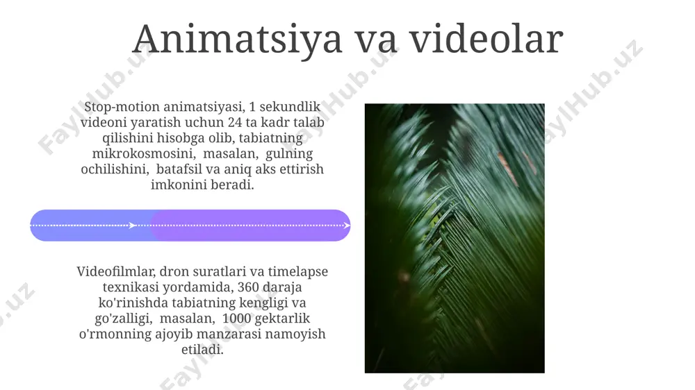 ash imkonini beradi, shu bilan birga ekologik ahamiyatini 50% ga oshiradi. interaktiv infografikalar va animatsiyalar, murakkab ekologik jarayonlarni soddalashtirib, kamida 70% foizga ko'proq odamlarga tushunarli va qiziqarli tarzda yetkazish imkonini beradi. harakat va dinamikaning ifodalanishi tabiatni ifodalashda dinamikani aks ettirish uchun 20 dan ortiq turdagi vizual texnikalar, masalan, tezkor suratga olish yoki stop-motion animatsiyasi qo‘llanilishi mumkin. tabiat hodisalarini ifodalashda 5 ga yaqin vizual usul, jumladan, perspektiv chizmalar va fraktal geometriyasi qo‘llanilishi, harakat illyuziyasini yaratishga yordam beradi. tomoshabinlarga ta'sir etish strategiyalari tomoshabinlarning 70%dan ortig'i vizual ma'lumotlarni yaxshiroq qabul qilishi hisobga olinib, yorqin, yuqori sifatli tasvirlar va grafikalar qo‘llanilishi kerak. muhim ekologik muammolarni ko‘rsatishda, statistik ma'lumotlar va aniq raqamlar (masalan, yo‘q bo‘lib ketish xavfi ostida turgan turlarning soni) qo‘llanilishi hisobga olinishi kerak. virtual va kengaytirilgan haqiqat texnologiyalari virtual reallik texnologiyalari yordamida foydalanuvchilar tabiatning turli xil ekosistemalariga, masalan, amazon o'rmonlari yoki arktika muzliklariga, virtual sayohatlar qilish imkoniga ega bo'lib, 1000 dan ortiq turli …