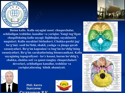 kalla suyagining topografiyasi va tuzilishi — PPTX