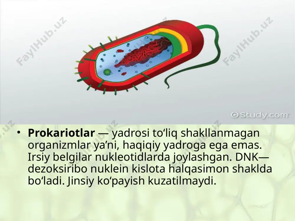 hayotning hujayraviy shakllari. 9 - sinf - Page 3