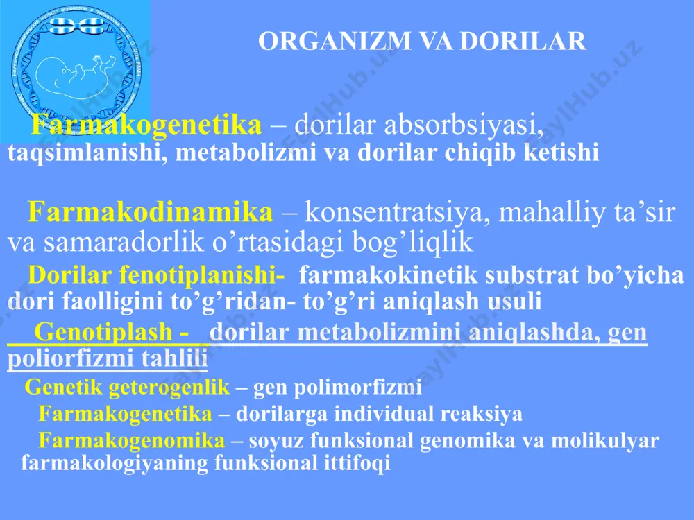 mik 16 sitoxromlarning dorilar almashinuviga ta’siri dorilarga individual sezgirlikning genetik mexanizmlari farmokokinetik: absorbsiyaning o’zgarishi- inotiazid– nat2 kodein–morfin faol shakliga o’tishi–cyp 2d6 metabolizmning tizimli xususiyatlari fermentlar uchun preparatlar konkurensiyasi metabolizm fermentlari induksiyasi induksiya/ingibirlanish ovqat magsulotiga nisbatan farmokodinamik : hujayradan preparatlarning kirishi/chiqishi oqsil retseptorlarining o’zgarishi ген - дори е.в.баранова metoprolol 1 mijoz 2 mijoz сyp2 d6 pm сyp2 d6 em сodeine сyp2 d6 pm сyp2 d6 em gen- dori ta’siri va dori - dori diazepam + omeprazol+ 1 mijoz 2 mijoz сyp2 с19 pm сyp2 с19 em xulosalar 1 insonning ekzogen omillarga sezgirligi shu jumladan dorilar holati bilan belgilanadi va metabolik genlarning funksional faoliyati 2. shaxsiy sezuvchanlikning asoslari tibbiy mahsulotlar xususiyatlari genetik polimorfizmning 3. optimal individual dozalarni tanlash preparatning natijalarini tegishli metabolik genlar testlashni hisoga olgan holda amalga oshirilishi kerak 4. biochip texnologiyasi fermakokinetika va predektiv tibbiyotda aholi va skrining dasturlrininng samaradorligi sezilarli darajada oshadi. 5. amaliy tibbiyotga genetik testni joriy etish …