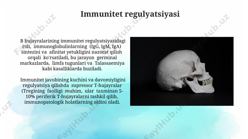 ar, masalan, neytrofillar, kuniga 10¹¹ ga yaqin bakteriyalarni yoʻq qila oladi va bu jarayon asosan suyak iligida sodir boʻladi. sitokinlar va ularning immunitetda o'rni sitokinlar, masalan, interferon-γ (ifn-γ), hujayra vositachiligida immunitet reaksiyalarida muhim rol o'ynaydi va t-hujayralar tomonidan 30 dan ortiq turdagi sitokinlar ishlab chiqariladi. sitokinlar, masalan, tnf-α, turli xil infektsiyalar, shu jumladan, mycobacterium tuberculosis infektsiyalarida yallig'lanishni keltirib chiqaradi va bu jarayonlarning rivojlanishiga hissa qo'shadi. sitotoksik t-hujayralar va ularning roli sitotoksik t-hujayralarning faolligi immunitet tizimining boshqa komponentlari, jumladan, antigen taqdim etuvchi hujayralar (apc) kabi 30 dan ortiq turdagi sitokinlar yordamida tartibga solinadi, bu esa immun javobning samaradorligini ta'minlaydi. sitotoksik t-hujayralar, yoki cd8+ t-hujayralar, virusli infektsiyaga chalingan hujayralarni aniqlash va yo'q qilishda muhim rol o'ynaydi, masalan, 2002 yilda xitoyda tarqalgan sars-cov-1 virusiga qarshi kurashda. birlamchi immunodefitsitlar o'tkir limfoblastik leykemiya kabi ba'zi saraton kasalliklari, immunitet sistemasiga salbiy ta'sir ko'rsatib, suyak ko'mig'ining faoliyatini buzadi va o'zbekistonda 5 yoshgacha bo'lgan bolalarda bir necha yuz …